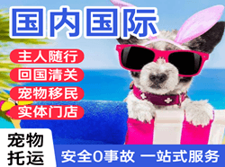 攀枝花保安营机场快运国际宠物托运 【国